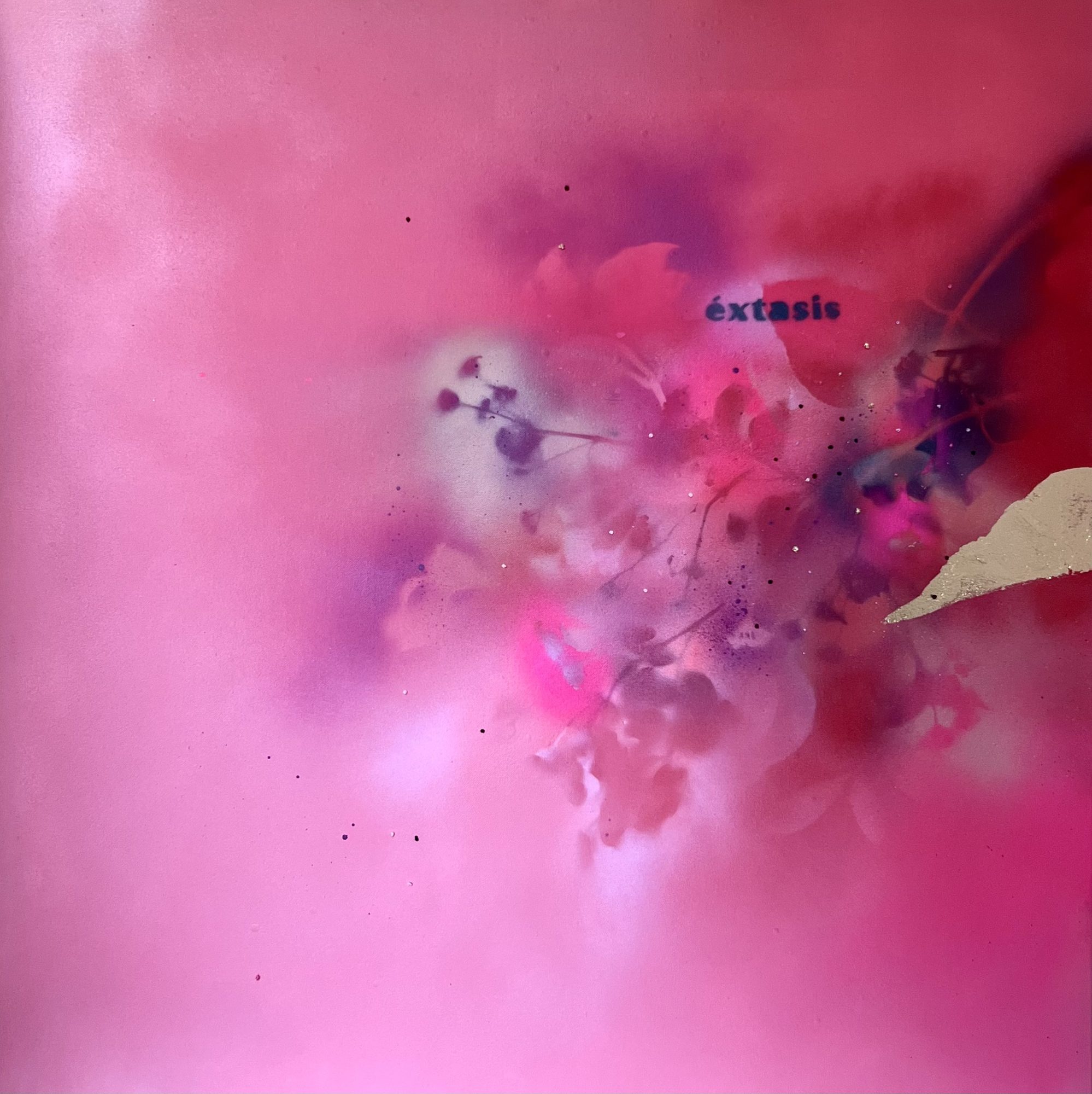 Éxtasis, obra de Laura Serradilla