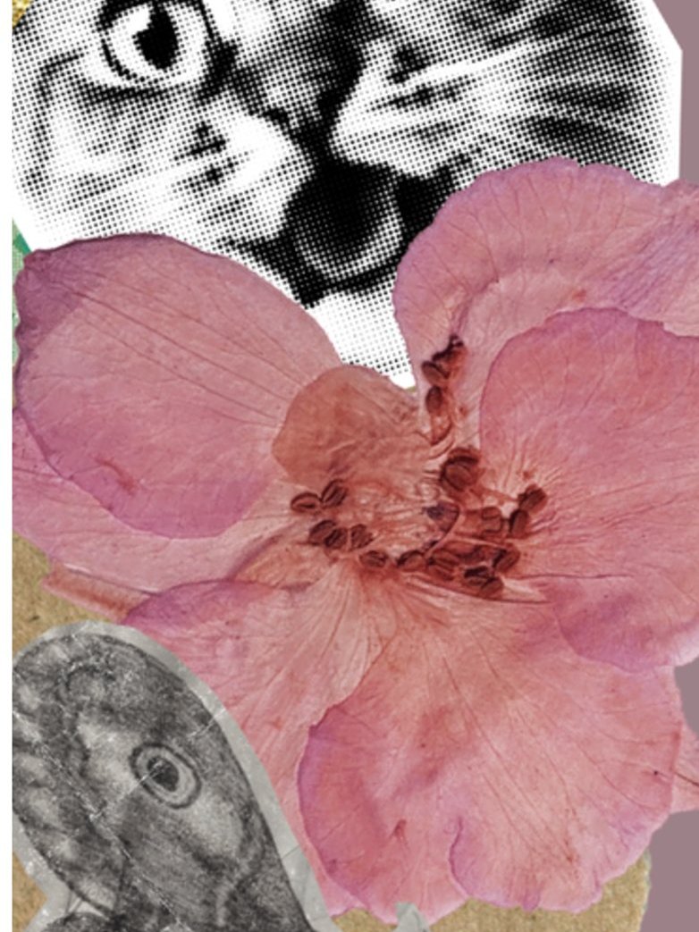 Collage creativo · Creative collage
