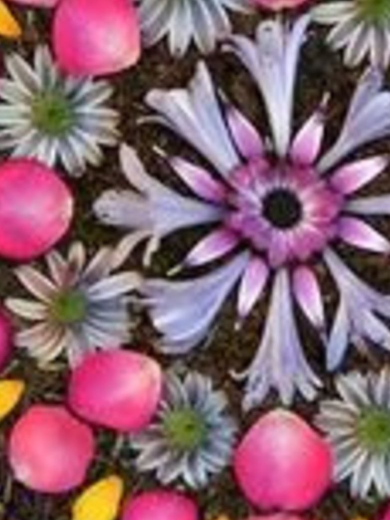 Mandala natural · Natural mandala
