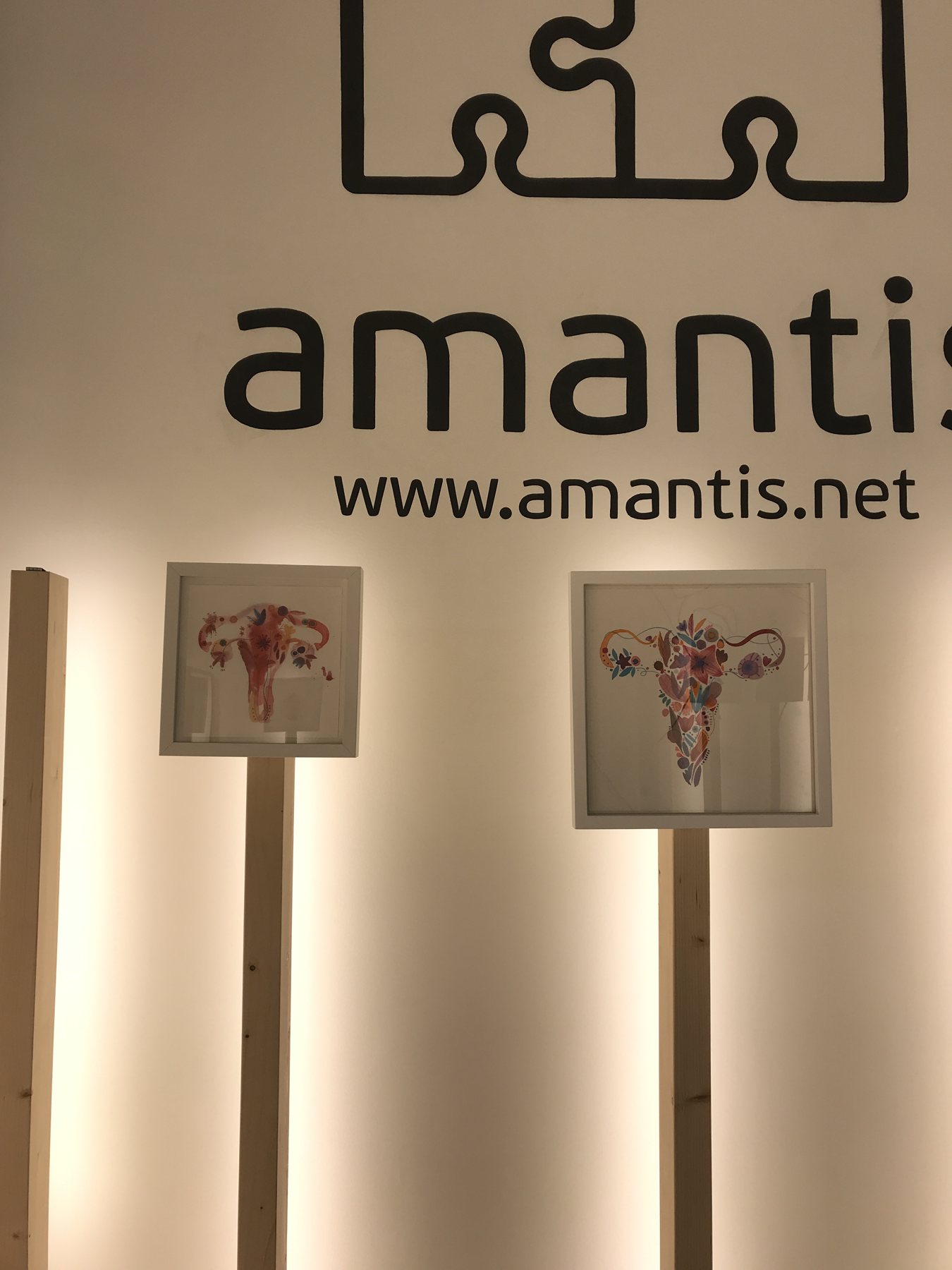 Úteros en las tiendas Amantis